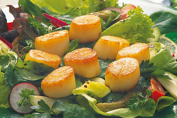 Scallops
