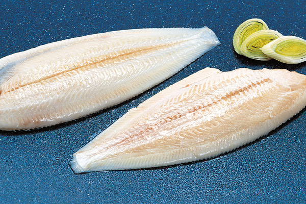 Nordseeseezungen küchenfertig