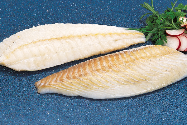 Steinbuttfilet