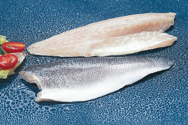Wolfsbarschfilet